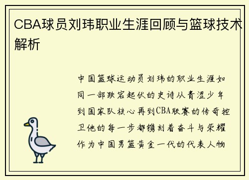 CBA球员刘玮职业生涯回顾与篮球技术解析
